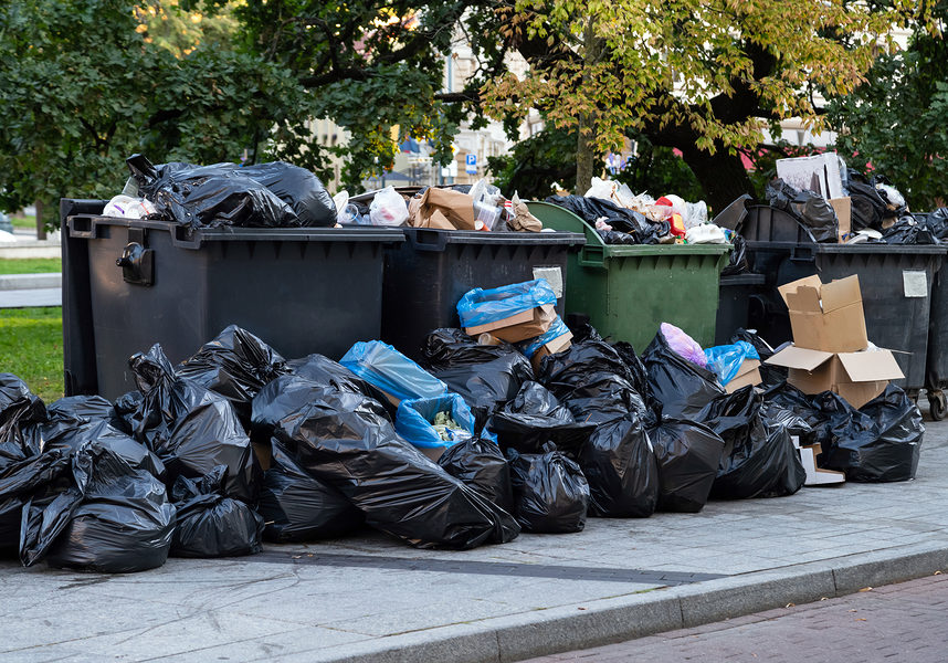 Living with professional help, easing burden, of house cleanout