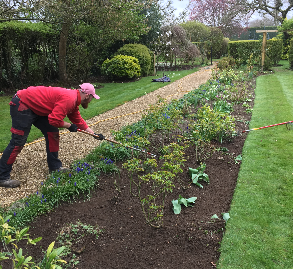 evergreen garden services