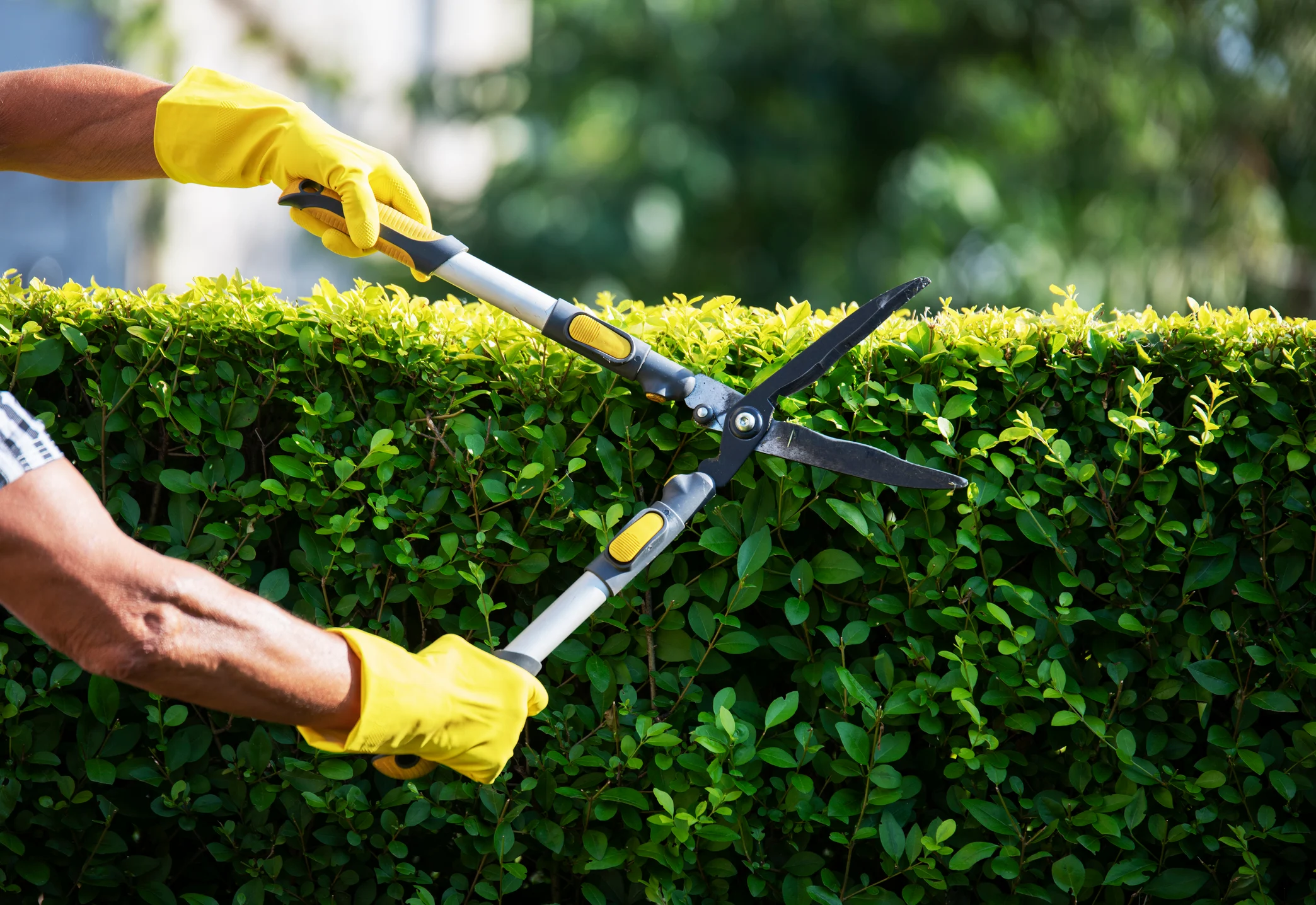 Complete Gardening And Landscaping Services Provide End-To-End Outdoor Property Care